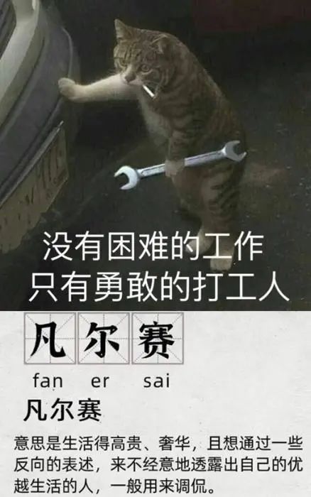 世界纪录|网红博主工地炫富惹争议：凡尔赛式体验生活不可取！