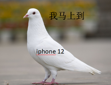 苹果|苹果12可能在9月10号发布,都有这些配件,你会买吗?(上)