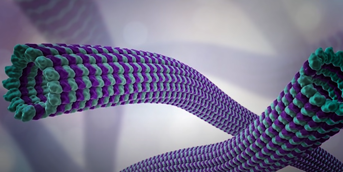 科学家|人体内存在一台量子计算机,你的灵魂可能真实存在,就在身体的这个地方