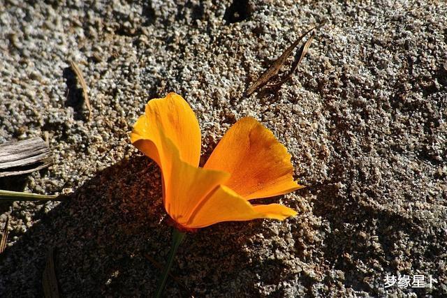 双鱼座■最能为爱人改掉坏习惯的四个星座