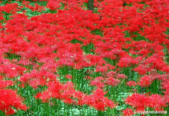 「大富大贵」未来3个月喜迎开门红,4属相横财如雨,大富大贵不差钱