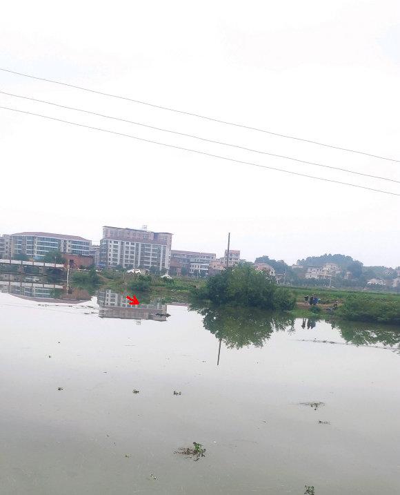 鲤鱼|衡阳一钓鱼人水中被捞起，似垂钓触电，最后还保持挥杆姿势