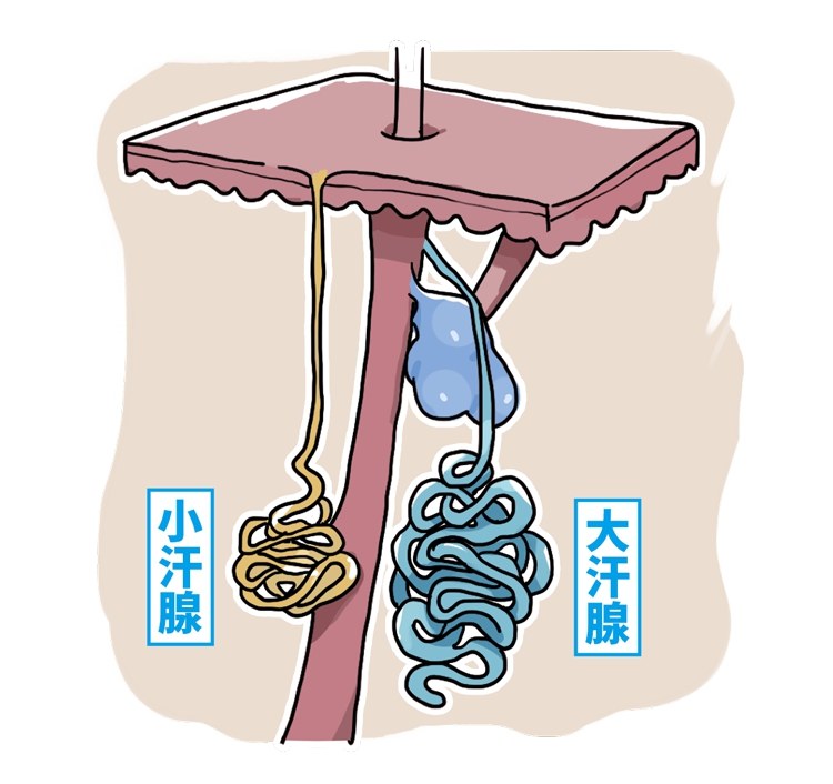 #睡眠#男人的枕头，为什么那么容易黄啊！