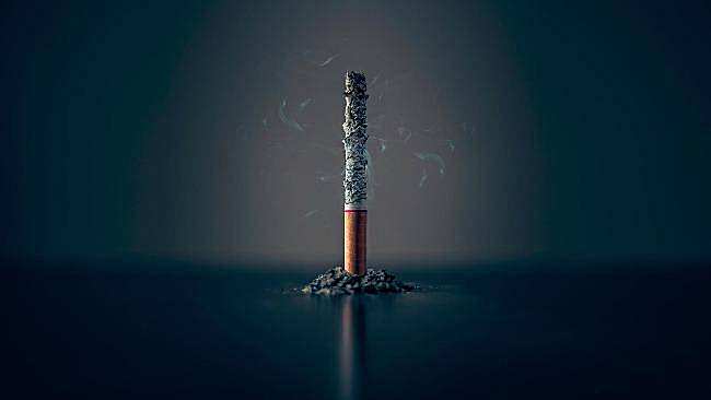 骑鱼的兔子 中国烟草总公司工资总额公布 在岗职工年平均工资18.67万