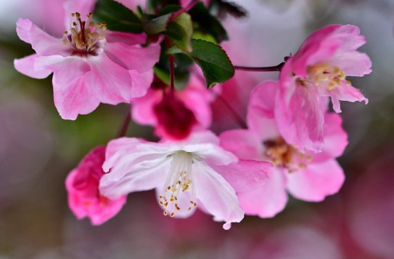 吉星|七月中旬得吉星加持,4属相升职掌权,收入增加,喜事接二连三