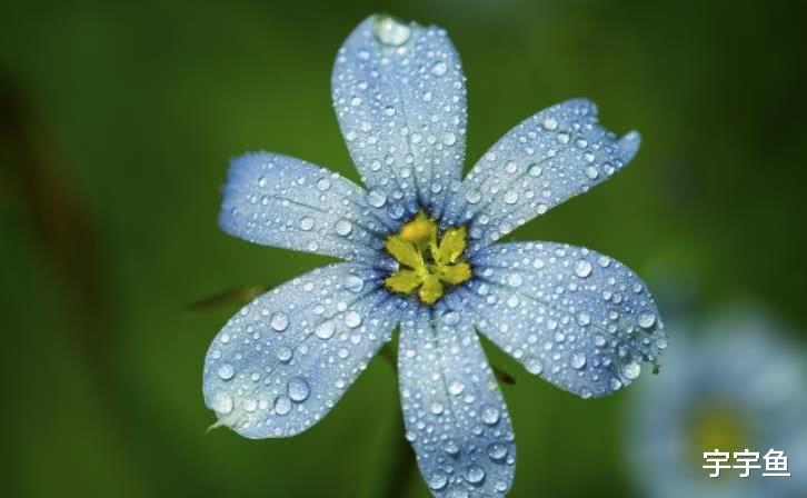 旧爱|9月开始鸿运当头，财运红火，富贵不愁的4生肖