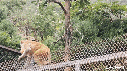 腾讯|视频拍摄不怕抖，更稳更清晰，飞宇pocket 2 上手