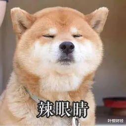 叶檀财经|国家重拳出击！ 害人精被收拾了