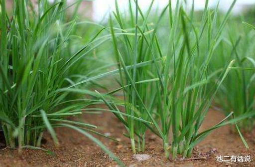 西安外国语大学|西安外国语大学学生集体喊楼：封校难道就是为了割韭菜？