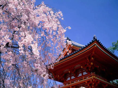 寺庙|唯一从隋唐活到现在的公司，千年来只钻研一项业务，名字有些耳熟