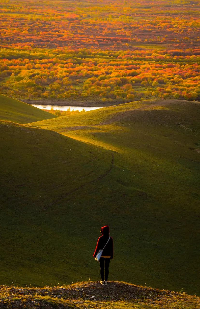 旅行|国内最适合一个人旅行的15个地方,累了就出来走一走吧