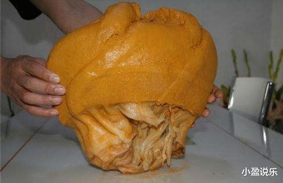 科学家|常说的“太岁”究竟是什么?科学家给出答案,它们已违背自然规律