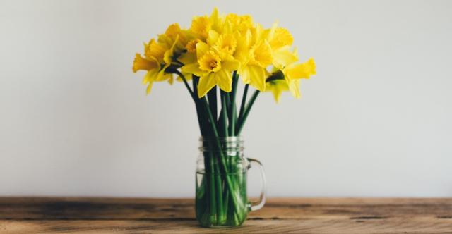 生肖|8月中旬，天降好兆头，事业平步青云，生活眉开眼笑的生肖