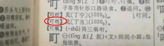 突厥|这些汉字被爹妈用了几十年，但其实原来不存在