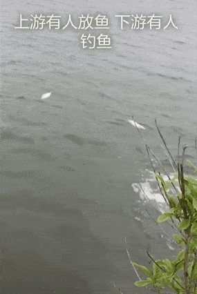 话晴空|为了活到99，大爷大妈们竟然“放生牛奶，矿泉水”