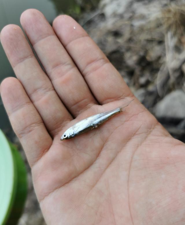 []万年空军的隔壁老王，居然落地了？搞懂原因，你也可以！