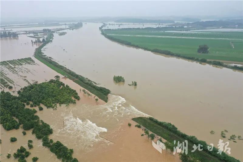 湖北日报视频|突发！黄石一地溃口，700多人撤离