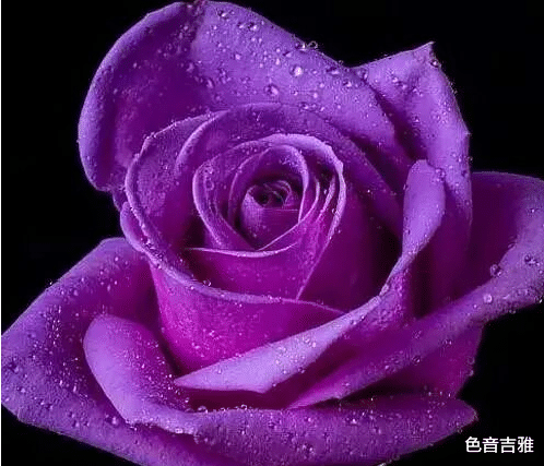 生肖|喜鹊报喜:3生肖接下来一周运势旺盛,财运苦尽甘来,日子幸福顺遂