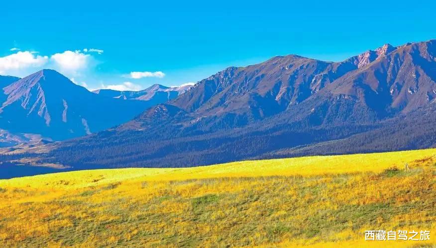 旅行|国内必去的100个地方，去过60个，称得上真正的旅行达人