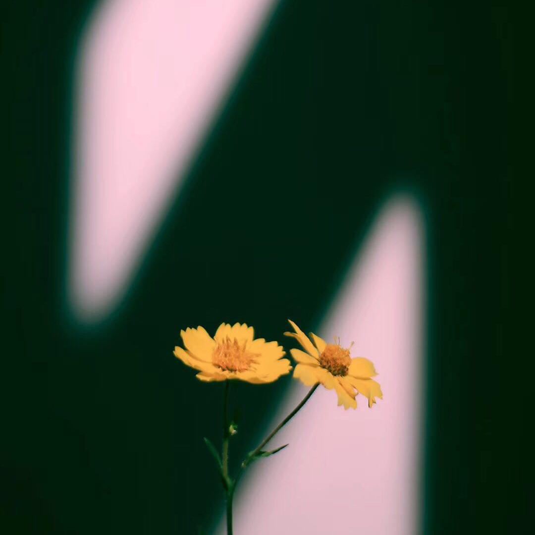 「」温柔男声···此间山木兮··歌曲推荐