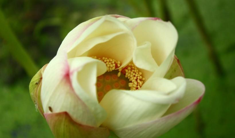 生肖|8月5号起,财运更上一层楼,事事顺利,不愁没钱四大生肖