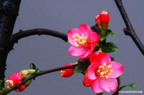 星座爱情观|马上发达，9月开始横财大赚，贵人指点，终于扬眉吐气的4大属相