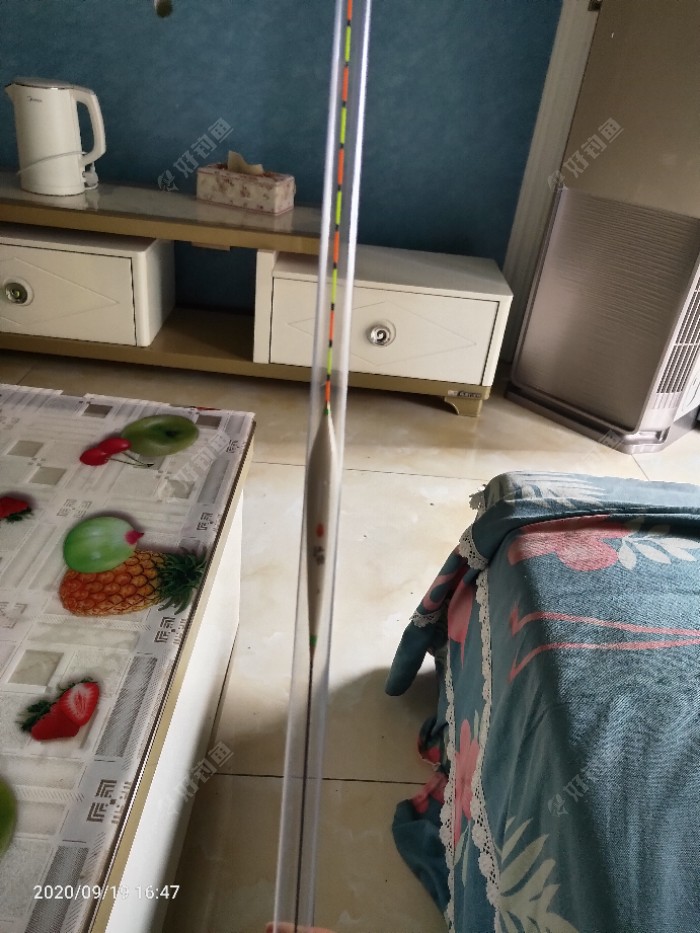 玉米|野钓流水应变得当才是王道