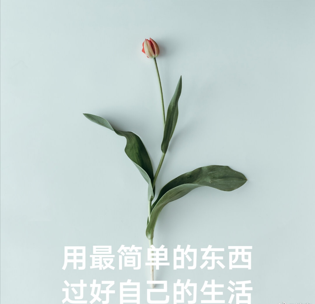 |厦门夫妻132平的新房,全屋打满隐形柜子,极简场面圈粉无数!