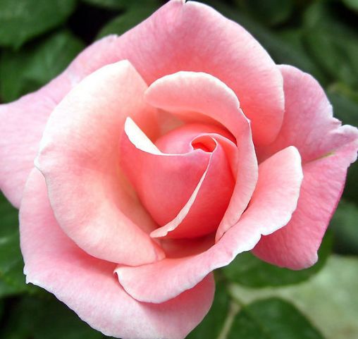 摩羯座|10月，4属相鸿运缠身，财富八方来，生活时来运转，幸福乐开花