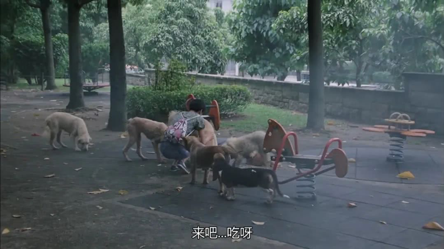 电影▲周星驰电影《国产凌凌漆》：10个令人胆寒的现实镜头，你看懂了吗？