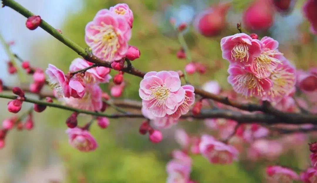 星座男|特大好消息！4生肖四方迎财、八方迎喜，财气一飞冲天，好日子躲不掉