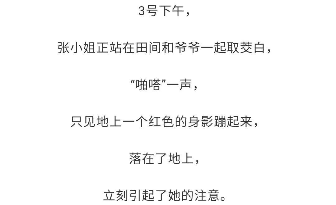 杭州日报|杭州发现“红色蛙”！全身赤红，还有斑点！一查不得了……