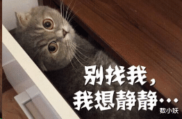 馒头|做一桌好吃的，姑姑给我个馒头，让我出去就着风吃，半夜就咳嗽哈哈哈