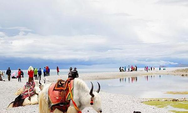 西藏|如果可以我想去西藏旅行，一个人一辈子一定要去的地方