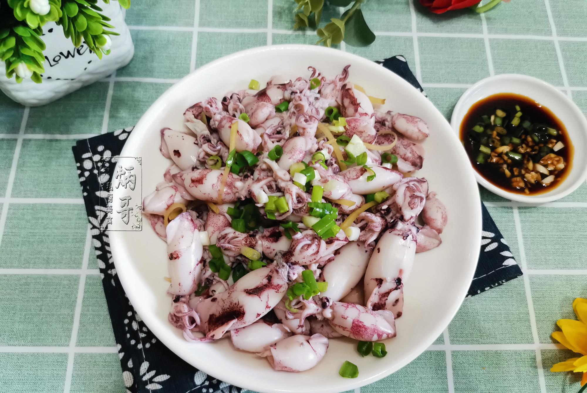 鱿鱼|9月，碰到这海货千万别错过，纯野生非养殖，简单一捞，就盘它！