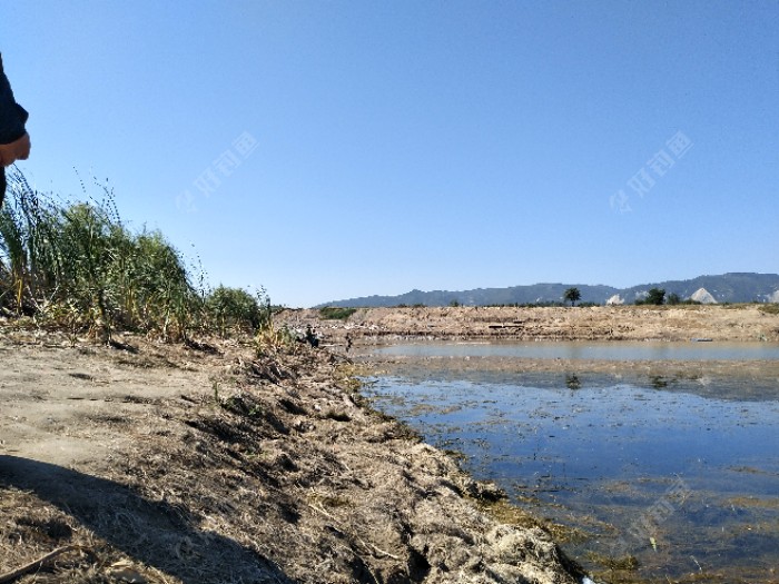 |父子同心，齐力共钓，再次荣获全场冠军