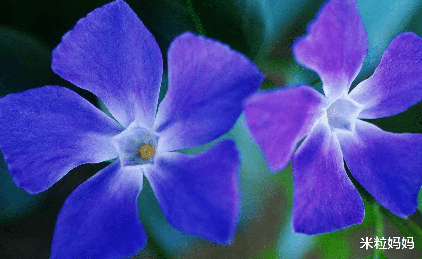 星座女|有着很正的三观，这四个星座女从来没有备胎，看看是不是你