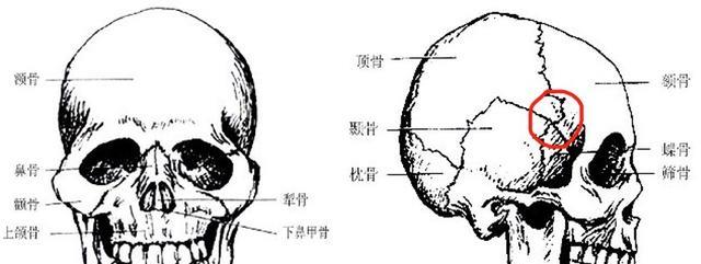 @进化论是错误的吗？人类身体的众多缺陷，该如何解释