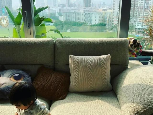 |参观37岁陈柏宇在香港的家，家里全是简约装修，沙发还是粗麻的
