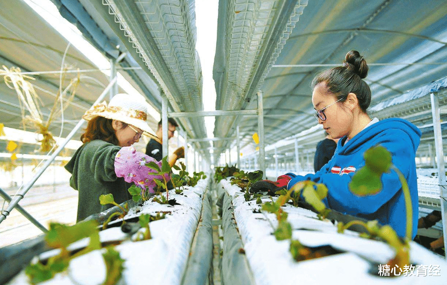 大学|这4个大学专业遭家长“嫌弃”，但其实人才需求量大，薪资待遇高