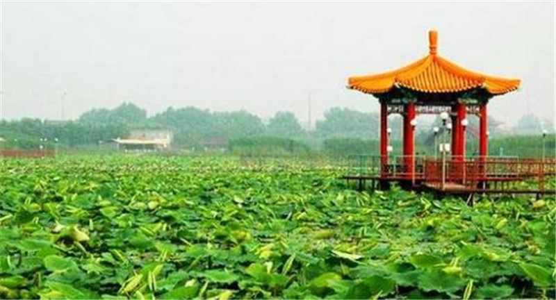 白洋淀|最“作死”的景点，恨不得连空气都收费，从前程似锦到无人问津