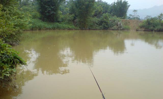 『』钓鱼这些年，根据自己的经验总结，分享几种自制钓饵