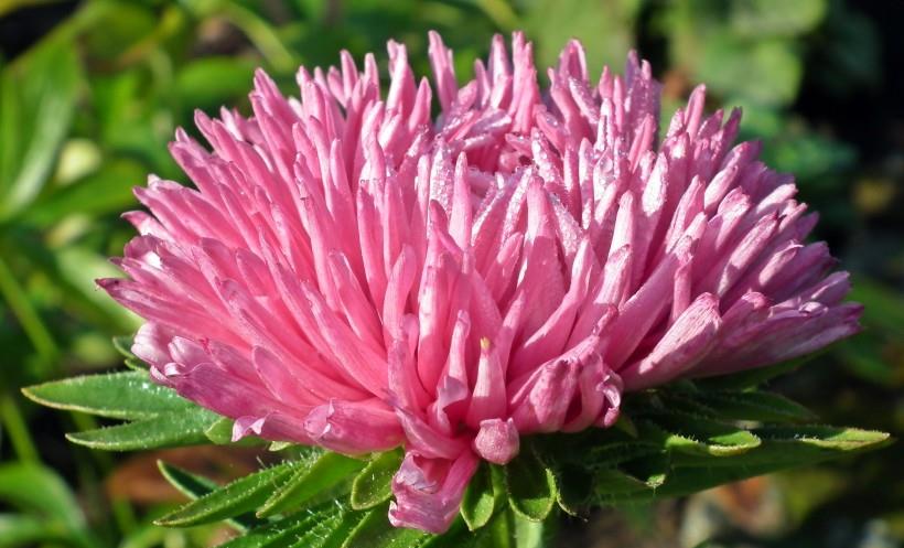 生肖|10月，月老送姻缘，朝思暮想的良缘来临，有望遇到真爱的四大生肖