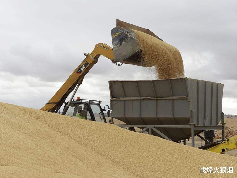 上千萬噸大麥即將爛在地裡，澳洲提出磋商請求：希望中國不計前嫌-圖2