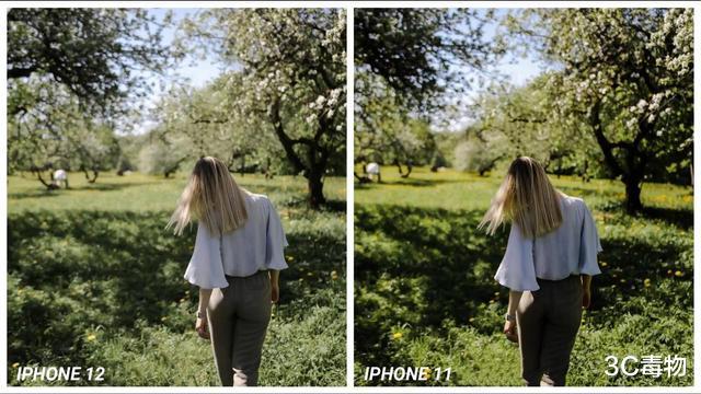 iphone12|iPhone12和iPhone11拍照对比:都是双镜头,差距比想象的大