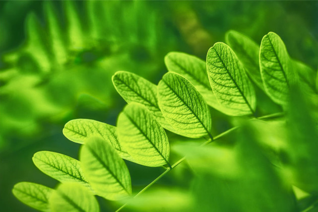 运势|今年劫难已熬完,3生肖年底运势极佳,事事顺顺能发财,幸运随身