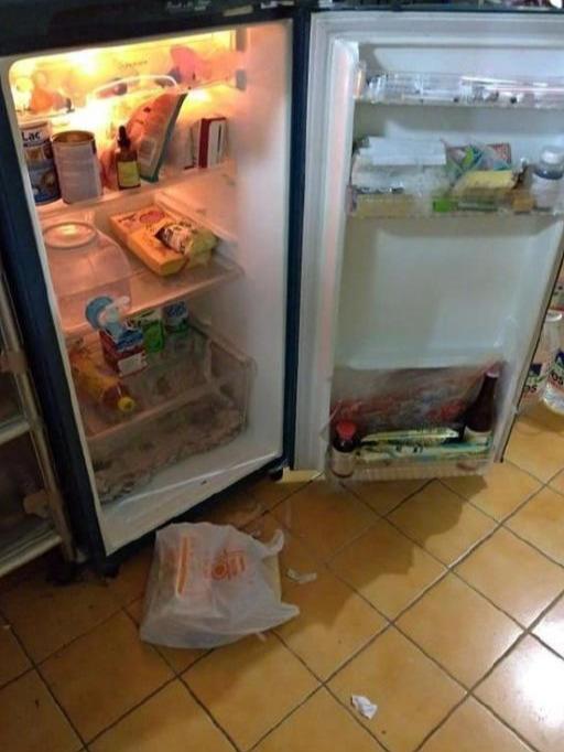 回家发现冰箱被打开，猫还在桌子下啃着大鸡腿，旁边散着小鱼干