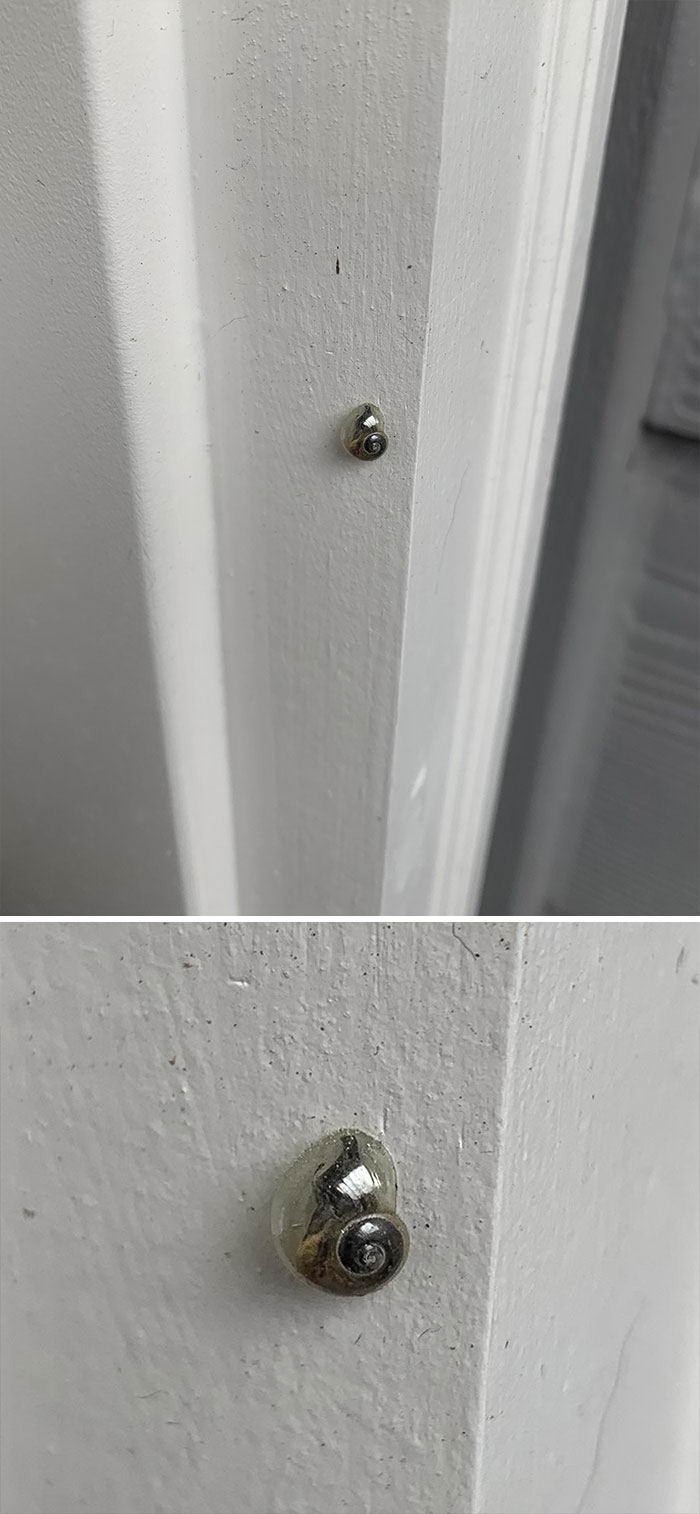 蝴蝶|20张罕见的图片为您打开了您从未见过的世界的新视角