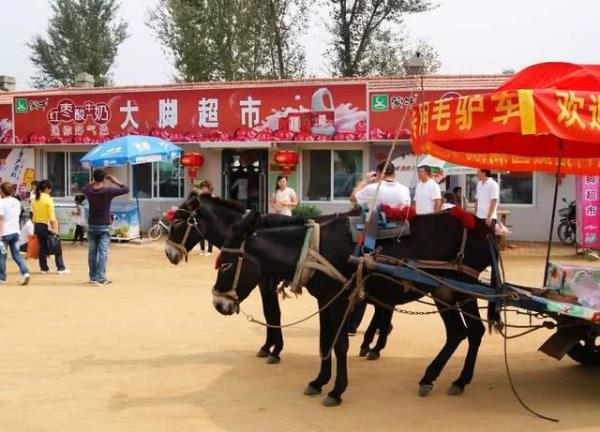 『乡村爱情』《乡村爱情》拍了14年,带火“象牙山”后居民得寸进尺,报应来了