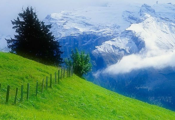 旧爱|到7月下旬，吉星进门，4属相大喜临门，财运转旺，日子一顺百顺